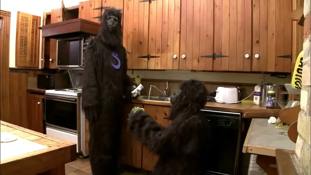 Who Can Wear a Gorilla Suit the Longest? cover